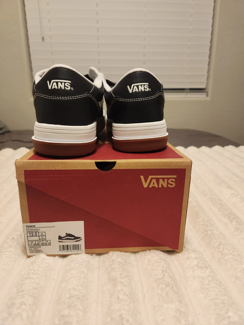 Vans Hylane Low-Top Black & White Men's Skate Sneakers